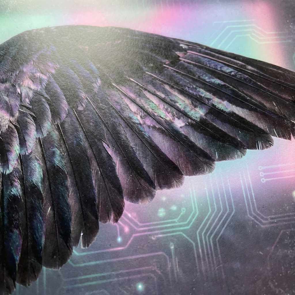 Ethereal Wing Fragment Obsidian Wall Art