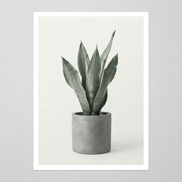 Linear Botanical Presence in Void