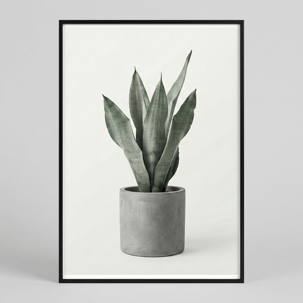 Linear Botanical Presence in Void