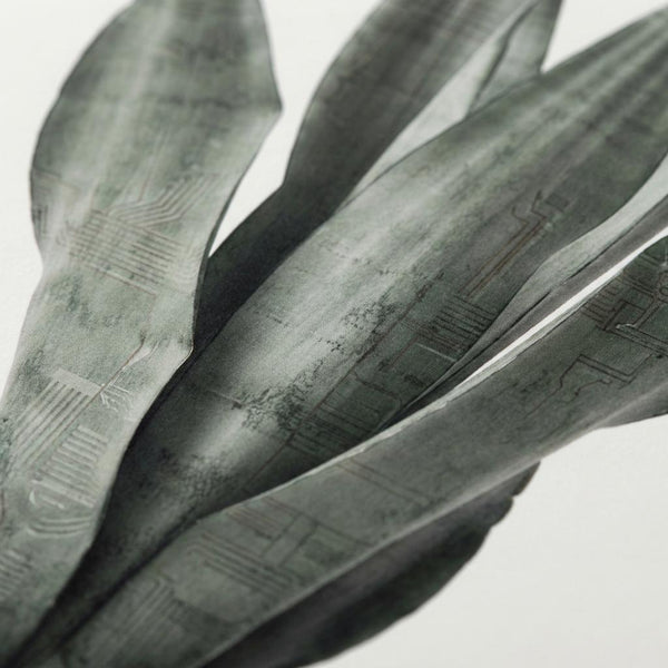 Linear Botanical Presence in Void