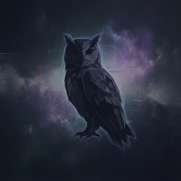Nocturnal Sentinel Owl in Shadow Artwork