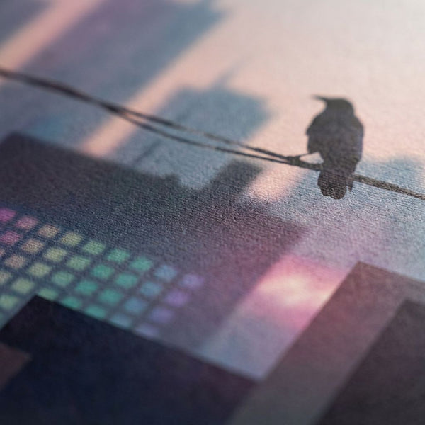 Obsidian Perch Crow on a Wire