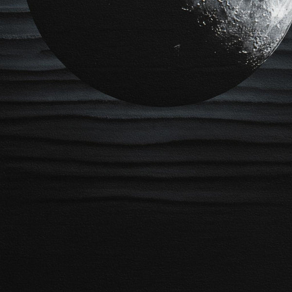 The Lunar Veil: Monochrome Tranquility Art Print detail close up 12