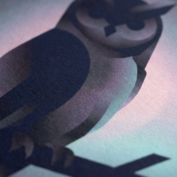 The Shadowed Nocturnal Sentinel