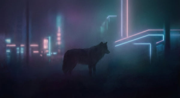 The Silent Alpha Silhouette