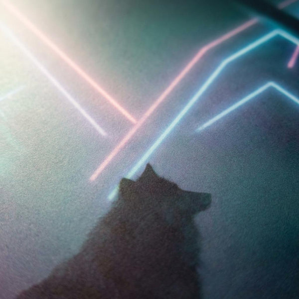 The Silent Alpha Silhouette