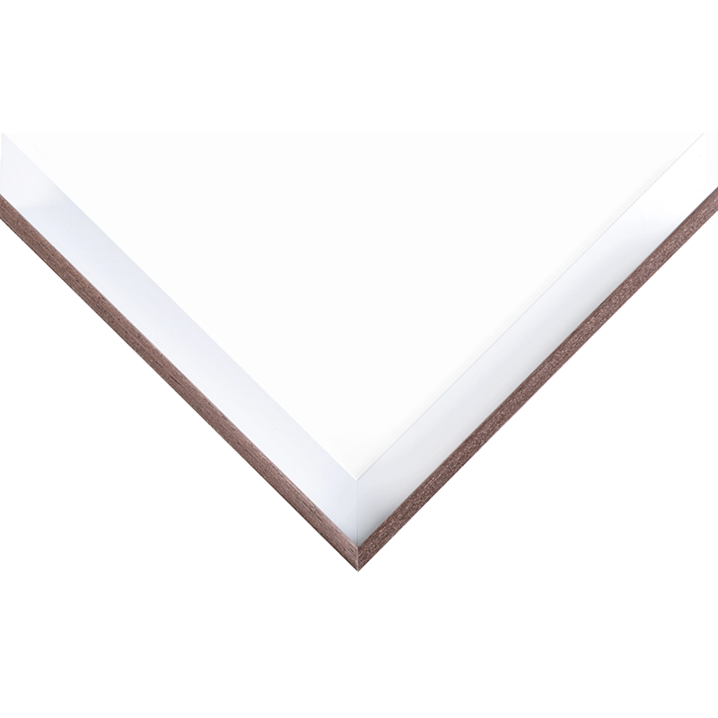 Frame Options & Framing Details